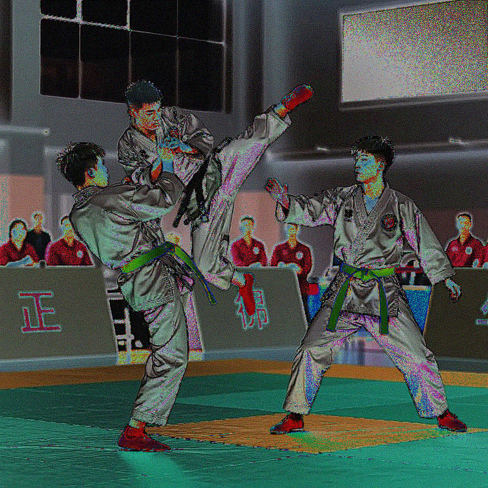 Vietnam Taekwondo at Asiad 2026: Two Female Athletes and a 28-Year Systemic Equation Vietnam Taekwondo at Asiad 2026: Two Female Athletes and a 28-Year Systemic Equation